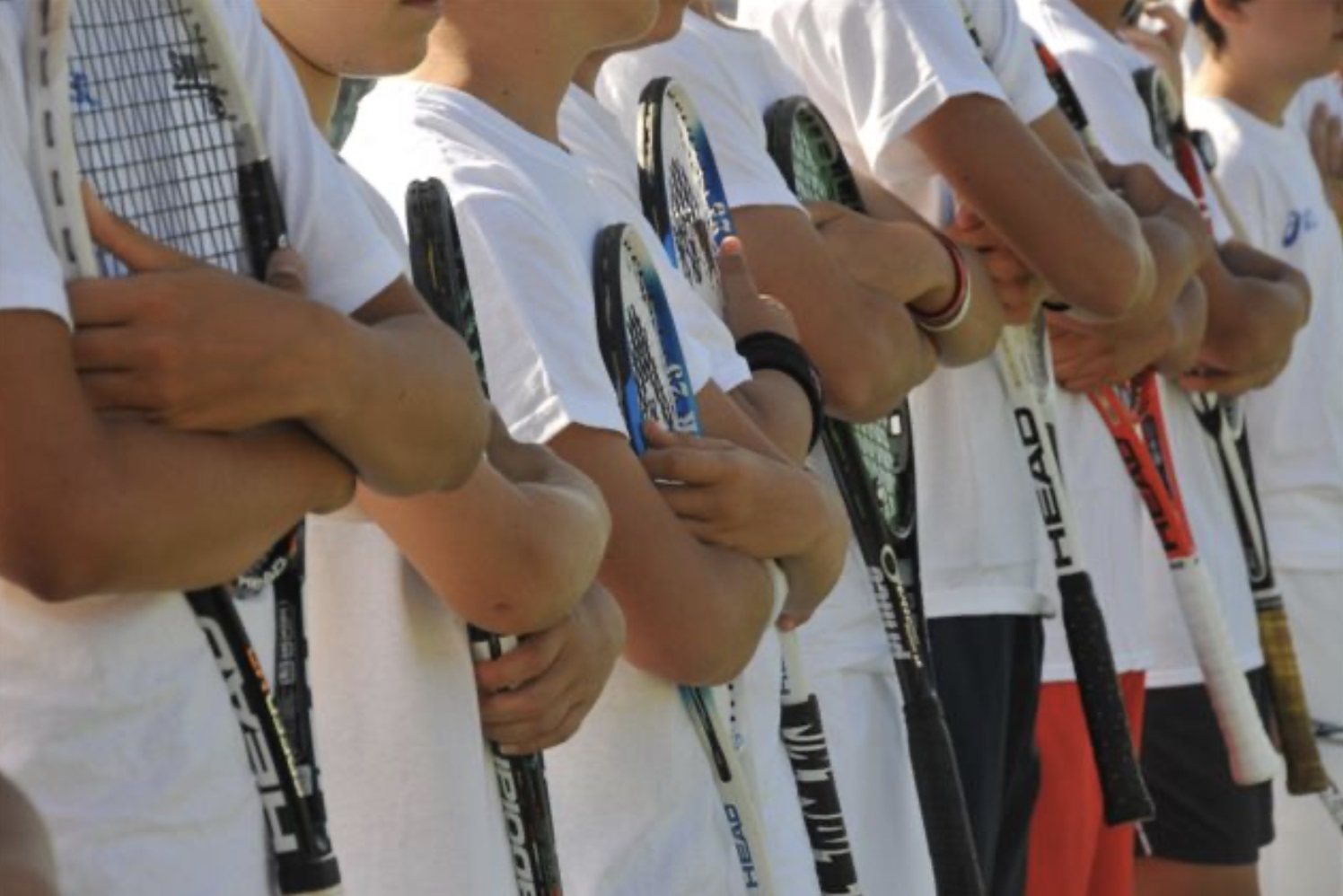 Live tennis shop il portale italiano